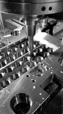 Pulido de la precisión del CNC de molde de la inyección que trabaja a máquina del color de acero plástico de la base