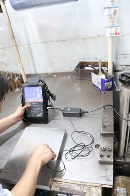 base del moldeo por inyección del sistema de la boca del agua para el proceso fino áspero del capítulo